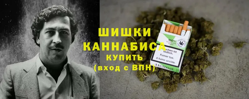 Конопля SATIVA & INDICA  Ардон 